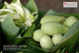 กิน เที่ยว นครปฐม ตลาดเสาร์อาทิตย์ ที่ตลาดสุขใจ เลือกซื้ออาหารเพื่อสุขภาพ รูปที่ 4