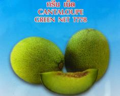ขายเมล็ดเมล่อนญี่ปุ่น รูปที่ 3