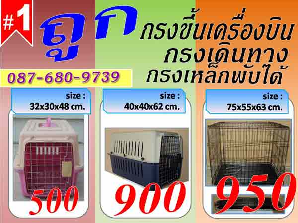 ทั้งถูก ทั้งแถม  กรงขึ้นเครื่องบิน กล่อง กรง กรงสุนัข กรงหมา กรงแมว กรงกระต่าย กรงหนู กรงเหล็ก รูปที่ 1