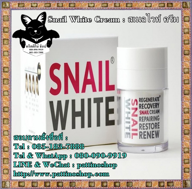 Snail White Cream : สเนล ไวท์ครีม สกัดจากเมือกหอยทากอุดมด้วยสารนานาประโยชน์มากมายเหมาะต่อการซ่อมแซมบำรุงผิว คุณรู้สึกได้ รูปที่ 1