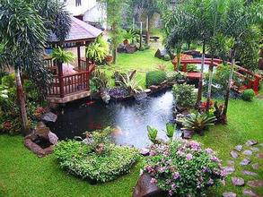 จำหน่ายหญ้าและจัดสวน รูปที่ 3