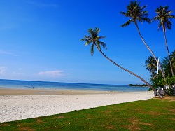 ดิ โอเชี่ยน รีสอร์ท สมุย (รีสอร์ทบนชายหาดที่อยากแนะนำ) รูปที่ 1