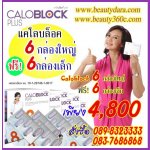 caloblock4800 แคโลบล็อคพลัส8โปรแกรมCALOBLOCK PLUS 8 โปร 12 กล่อง เพียง 4800 แคโลบล็อค-พลัส 8  รูปที่ 1