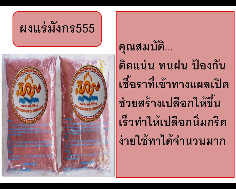 มังกร555 รูปที่ 3