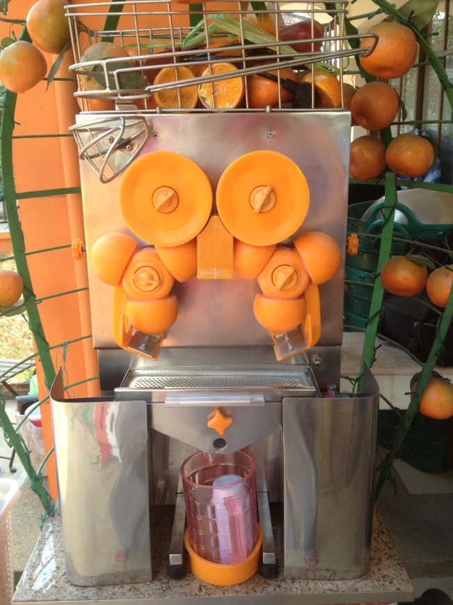 เครื่องทำน้ำส้มอัตโนมัติ รูปที่ 1