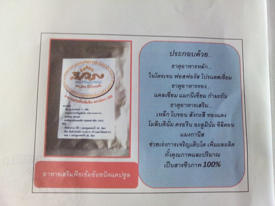 มังกร555 รูปที่ 5