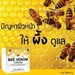 รูปย่อ La MaLa Be Venom  ครีมพิษผึ้งที่ได้รับความนิยมที่สุดในขณะนี้.. ยอดนิยม ครีมพิษผึ้ง lamala bee venom cream  ลามาล่า บี วี รูปที่3