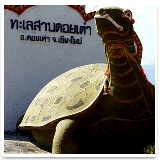 บริการทัวร์ล่องแพ จ.ตาก รูปที่ 4