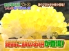 รูปย่อ รายการ โกโกริโกะเกมส์กึ๋ยส์ แข่งขันสร้างตำนานในญี่ปุ่น รูปที่1