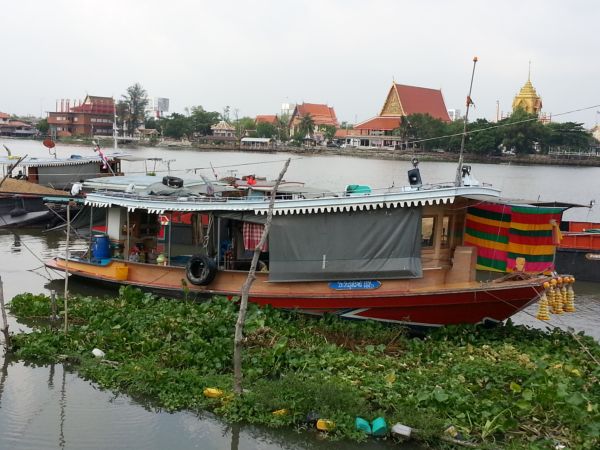เรือรากจูง รูปที่ 7