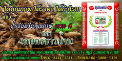 หาตัวแทนและจำหน่ายปุ๋ยอินทรีย์ เกรดA ตราเกษตรชาวบ้าน ปุ๋ยอินทรีย์ชีวภาพ ตรา เกษตรชาวบ้าน เกรด A พิเศษ รูปที่ 3