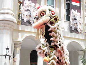 รับแสดงเชิดสิงโตกระโดดเสาดอกเหมย รูปที่ 6