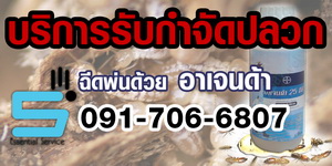  การบริการกำจัดปลวกของ anti-bug รูปที่ 1