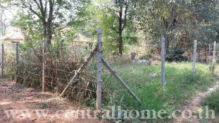 ขายที่ดิน คันคลองชลประทาน สุเทพ เชียงใหม่ รูปที่ 4