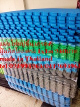เสื่อโยคะ แผ่นรองพื้น แผ่นรองออกกำลังกายเบาะจิ๊กซอว์ราคาแสนถูกสินค้าจากโรงงานขนาด60×180  หนา6มิล แผ่นล่ะ250Tel0908987958 รูปที่ 6