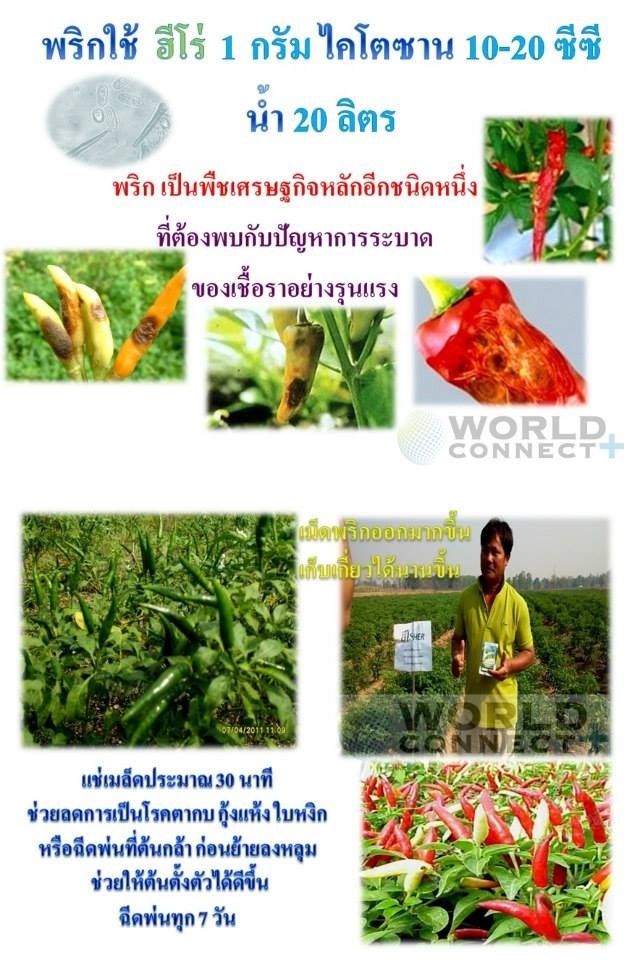 ฮีโร่ ซุปเปอร์ นาโน ปลอดภัย ไร้สารตกค้าง รูปที่ 4