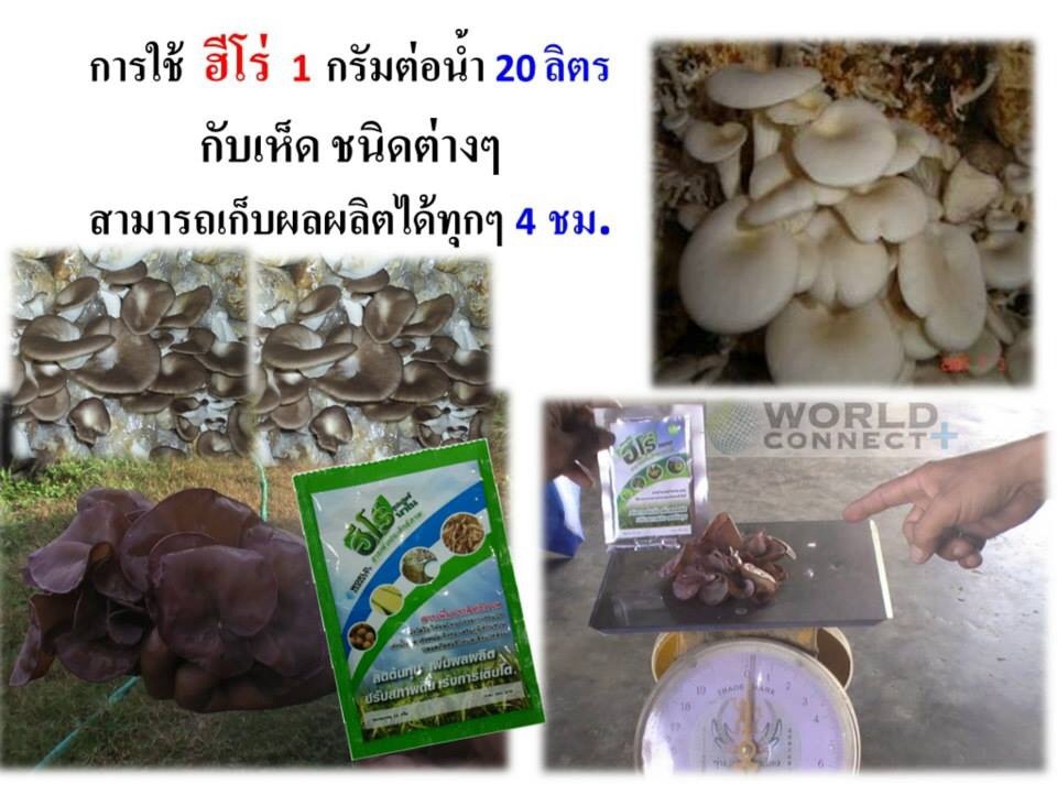 ฮีโร่ ซุปเปอร์ นาโน ปลอดภัย ไร้สารตกค้าง รูปที่ 3