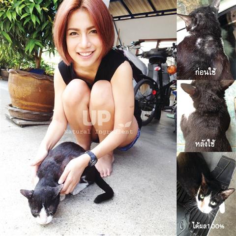 จำหน่ายสมุนไพรรักษาโรคผิวหนังสุนัขและแมว  รูปที่ 3