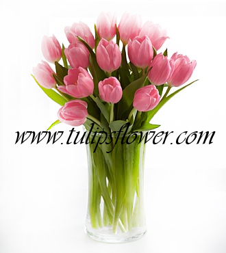 ภาพ แจกัน ดอกไม้ สวย ๆ บริการจัดแจกันดอกไม้ ทุกชนิด ราคากันเอง บริการส่งฟรี รูปที่ 1