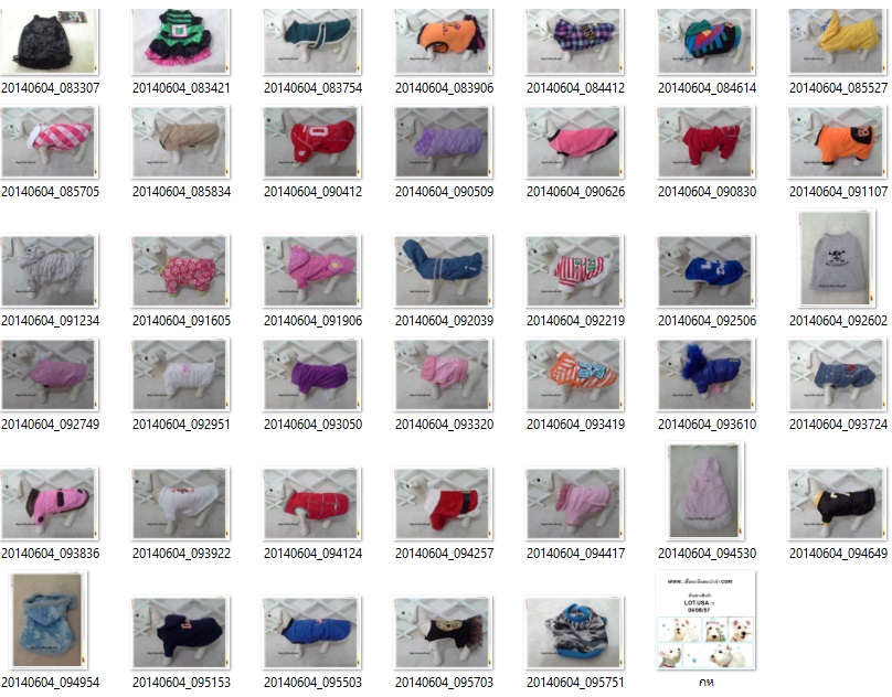 เสื้อหมามือสองนำเข้า รูปที่ 5