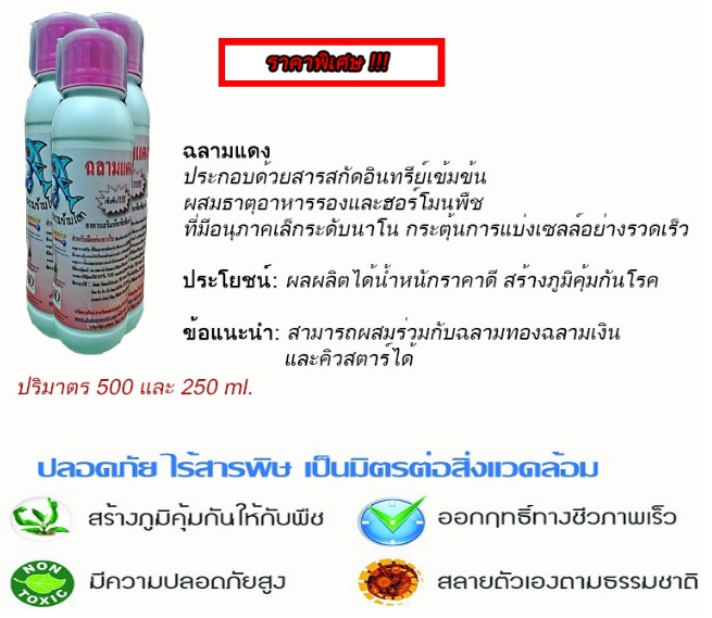 ปุ๋ยน้ำอินทรีย์ ปุ๋ยฮอร์โมน รูปที่ 4