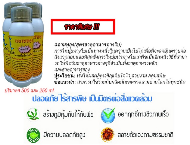 ปุ๋ยน้ำอินทรีย์ ปุ๋ยฮอร์โมน รูปที่ 2
