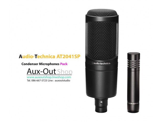Condenser Microphone Audio-Technica AT2041SP รูปที่ 1
