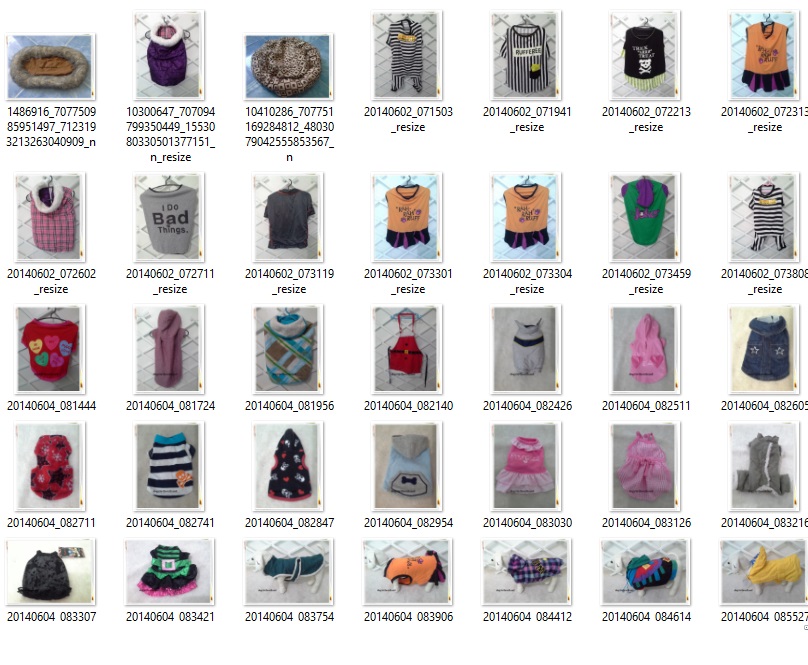 เสื้อหมามือสองนำเข้า รูปที่ 4