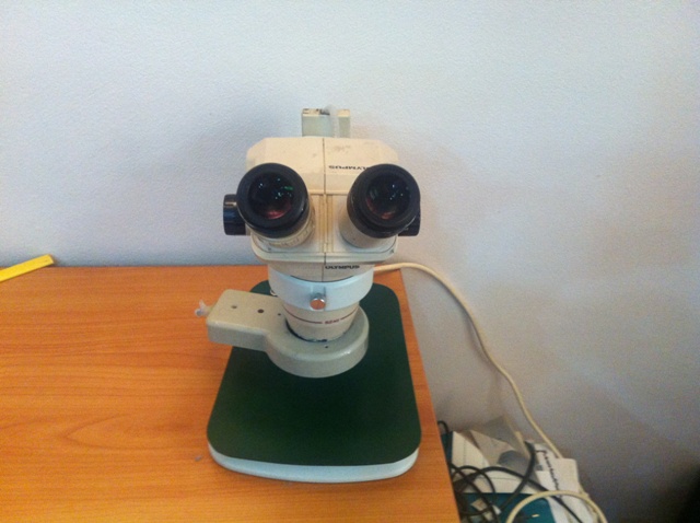กล้องจุลทรรศน์ ( กล้องขยายสองตา) OLYMPUS รูปที่ 4