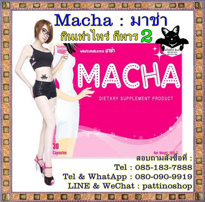 Macha : มาช่า อาหารเสริมลดน้ำหนัก ลดการดูดซึมแป้งและน้ำตาลที่เกินความต้องการของร่างกาย เร่งการเผาผลาญไขมัน รูปที่ 1