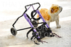 รูปย่อ รถวีลแชร์ สำหรับสุนัขพิการ,แมวพิการ,กระต่ายพิการ,เพื่อสัตว์ที่คุณรัก ออกแบบโดยผู้เชี่ยวชาญ รูปที่4