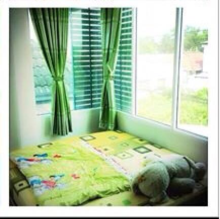 ผ้าม่านสีเขียว รูปที่ 3
