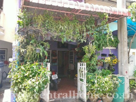 ขายทาวน์เฮ้าส์ พงษ์ศิริชัย 4 (บางบอน 5) หนองแขม เพชรเกษม 81 รูปที่ 2
