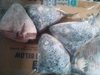 รูปย่อ ปลาแซลมอน ราคาถูก / แซลมอนสไลด์/แซลมอนสเต๊ก/หัวปลาแซลมอน รูปที่4