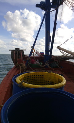 ขายเรือไดหมึก รูปที่ 3