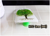 รูปย่อ M764-10 เคสแข็ง HTC One M8 ลาย Green Tree รูปที่4