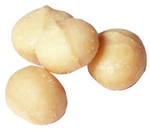 Raw Macadamia Nuts - ( 1 lb) รูปที่ 1