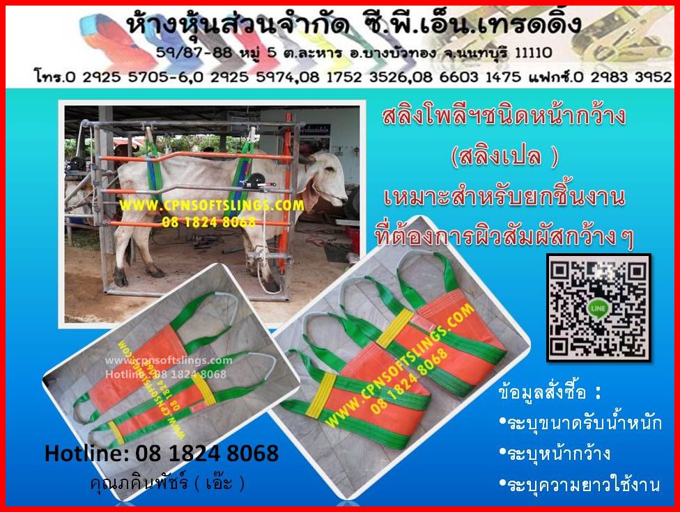 สายรัดรถบรรทุก, สายรัดสินค้า, สายรัดโพลีเอสเตอร์, ชุดสายรัด, สายก๊อกแก๊ก, สลิงยอกของหนัก, สลิงผ้าใบ, สายพานยก รูปที่ 5