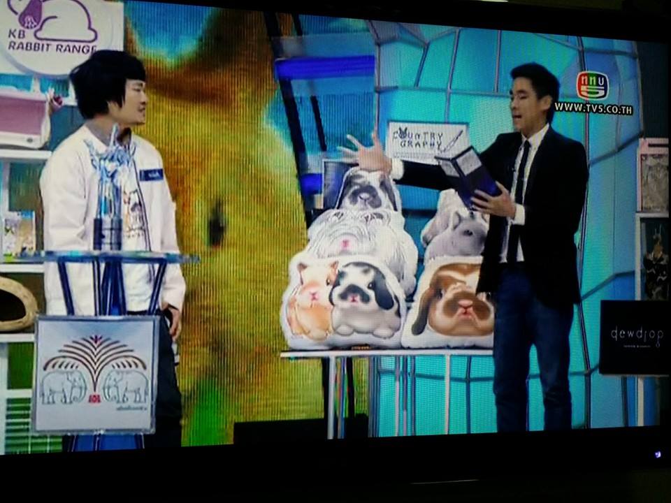 รับวาด ออกแบบ และ จัดทำ สินค้าลายสัตว์เลี้ยงแสนรักของคุณ รูปแบบเฉพาะของคุณเอง รูปที่ 6