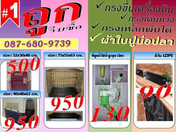 บ่อผ้าใบ บ่อพลาสติก ผ้าใบบ่อปลา ผ้าใบปูบ่อปลา ผ้าพลาสติก ผ้ายางปูบ่อปลา พลาสติกปูบ่อ ปูพื้นทำจากพลาสติกประเภท LDPE  ลักษ รูปที่ 3