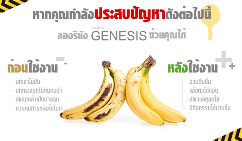 จำหน่าย Genesis เซรั่มเพิ่มขนาดน้องชาย  ใหญ่ แข็ง ทน ถาวร ปลอดภัย มี อย รูปที่ 4