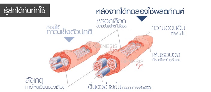 จำหน่าย Genesis เซรั่มเพิ่มขนาดน้องชาย  ใหญ่ แข็ง ทน ถาวร ปลอดภัย มี อย รูปที่ 5