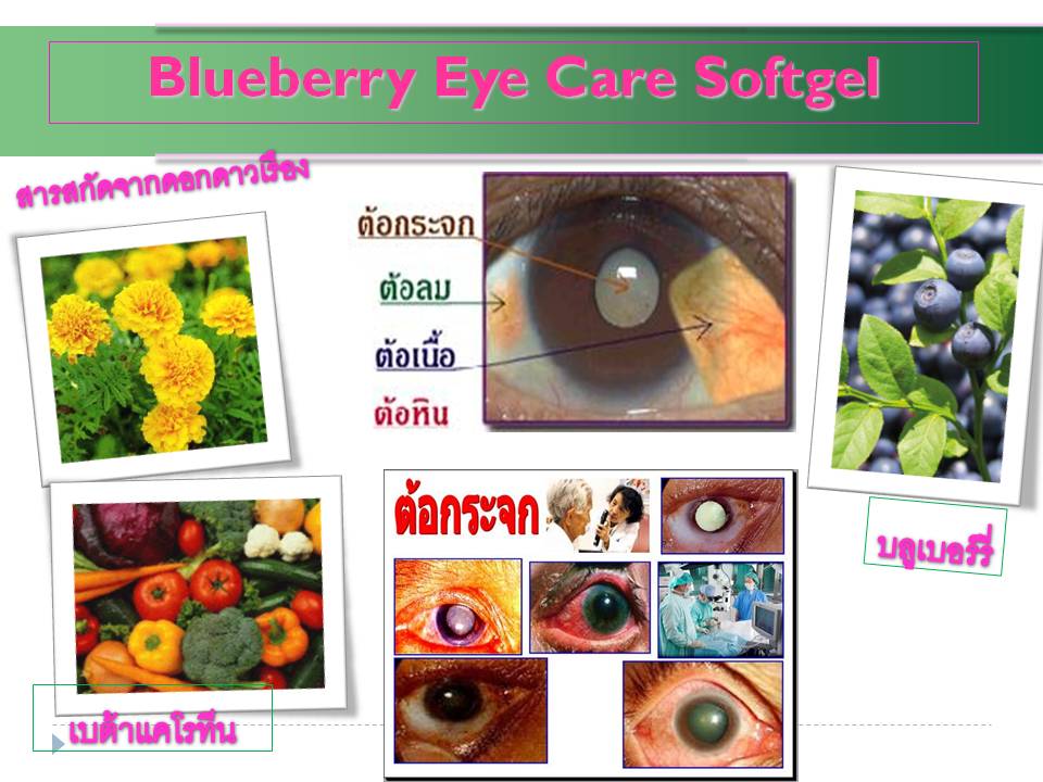 บลูเบอร์รี่ อายแคร์ ซอฟเจลเพื่อสุขภาพดวงตา รูปที่ 4
