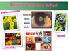 รูปย่อ บลูเบอร์รี่ อายแคร์ ซอฟเจลเพื่อสุขภาพดวงตา รูปที่4