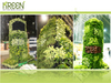 รูปย่อ ระบบกระถางต้นไม้แนวตั้ง Vertical Garden รูปที่1