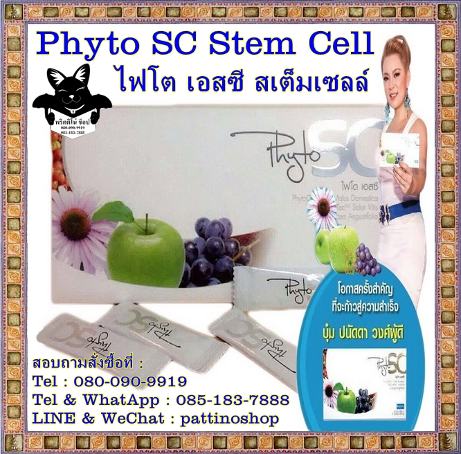 Phyto SC Stem Cell : ไฟโต เอสซี สเต็มเซลล์ นวัตกรรม ผสานพลังจากธรรมชาติ คืนร่างกายสู่วัยหนุ่มสาว กระชากวัยต้านความชรา รูปที่ 1