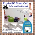 Phyto SC Stem Cell : ไฟโต เอสซี สเต็มเซลล์ นวัตกรรม ผสานพลังจากธรรมชาติ คืนร่างกายสู่วัยหนุ่มสาว กระชากวัยต้านความชรา