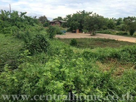 ขายที่ดินเปล่า 506 ตร.ว. (บางบัวทอง) กาญจนาภิเษก ขายต่ำกว่าราคาประเมิน รูปที่ 5
