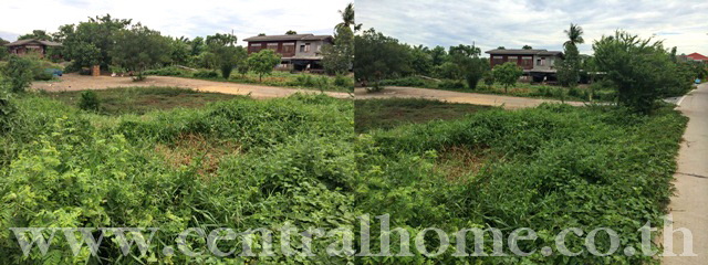 ขายที่ดินเปล่า 506 ตร.ว. (บางบัวทอง) กาญจนาภิเษก ขายต่ำกว่าราคาประเมิน รูปที่ 4