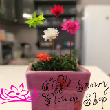 ดอกสโนวี่(Snowy Flower) จิ๋วสุดน่ารัก รูปที่ 4